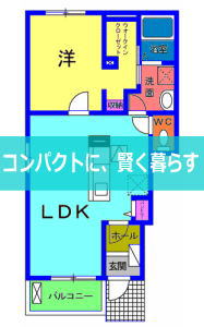 ビオーラ糸米