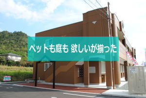 コンフォース小鯖