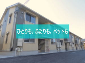 マリースプリング