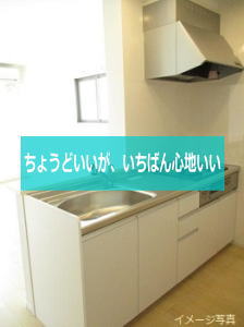 フェトルライフⅡ