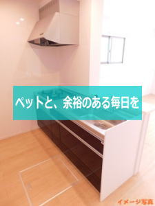 ラウレアC