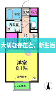 ツバイ・カッツェン