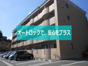 ヴィラグレイスⅡ